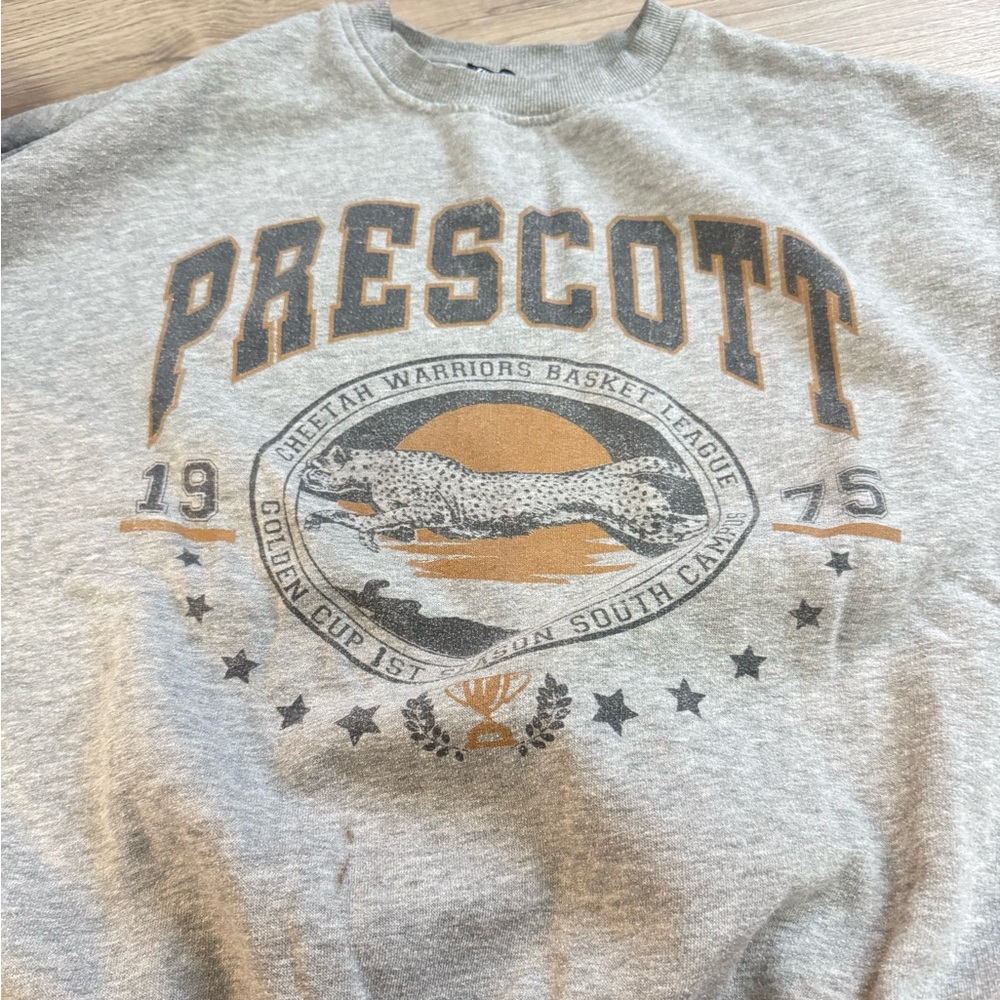Zara Grey Crewneck with Prescott Design